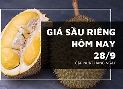 Giá Sầu Riêng Hôm Nay Có Tăng Không