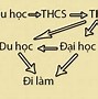 Học Là Gì Tại Sao Phải Học