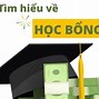 Học Phí Đh Y Hà Nội 2024